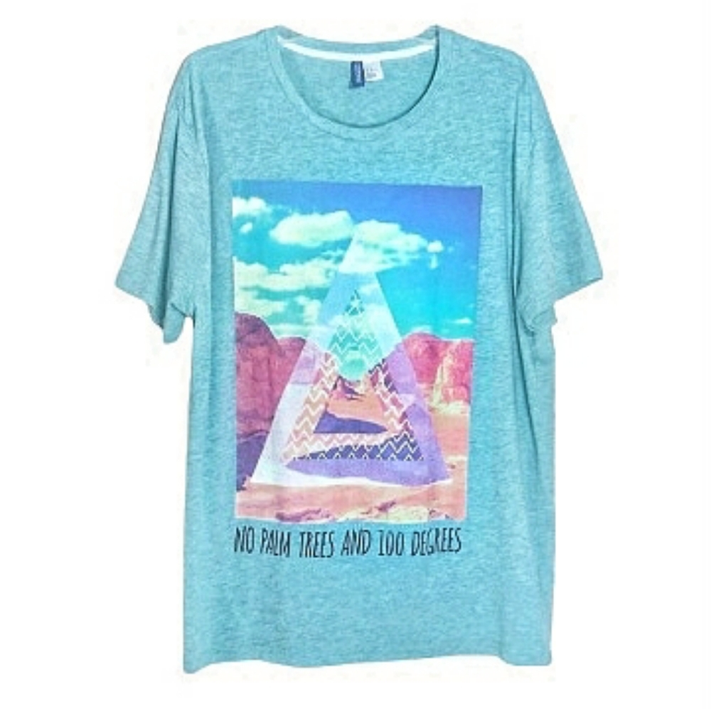 Divided No Palm Trees and 100 Degrees graphic tee